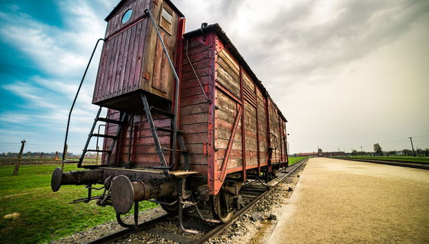 Excursión privada a Auschwitz y las Minas de Sal - Foto 3