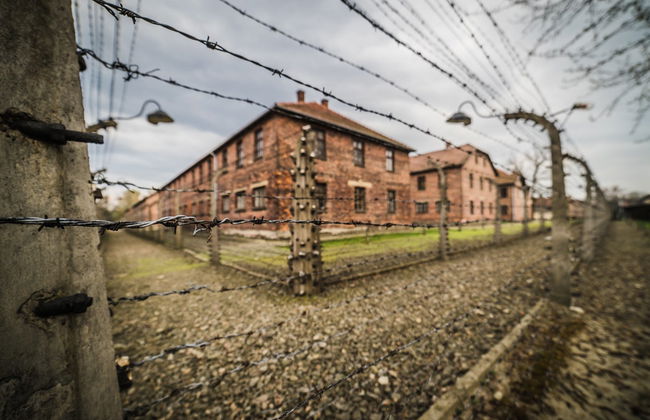 Excursion privée à Auschwitz et à la mine de sel de Wieliczka - Photo 1