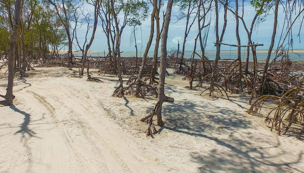 Jericoacoara Private Tour in a Jardineira - Foto 4