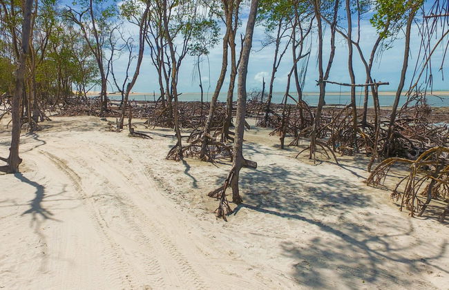 Jericoacoara Private Tour in a Jardineira - Foto 4