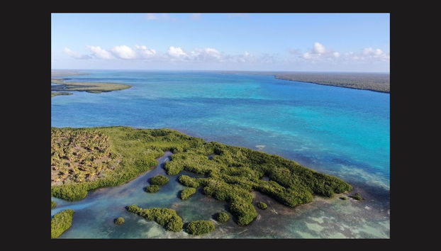 Excursión a la isla Saona + Río Chavón - Foto 2