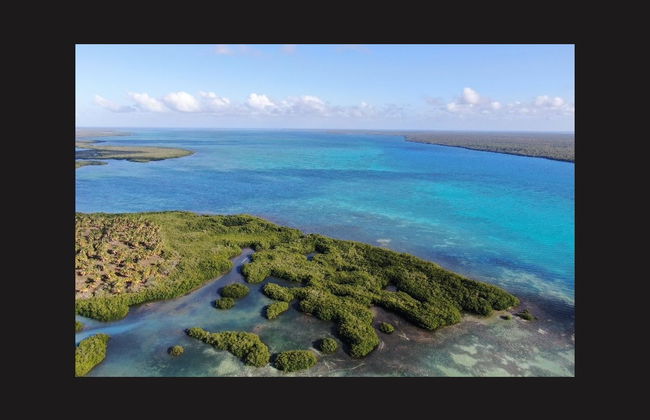 Escursione all'isola di Saona + Fiume Chavón - Foto 2