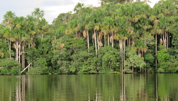 Excursión a la isla Saona + Río Chavón - Foto 4