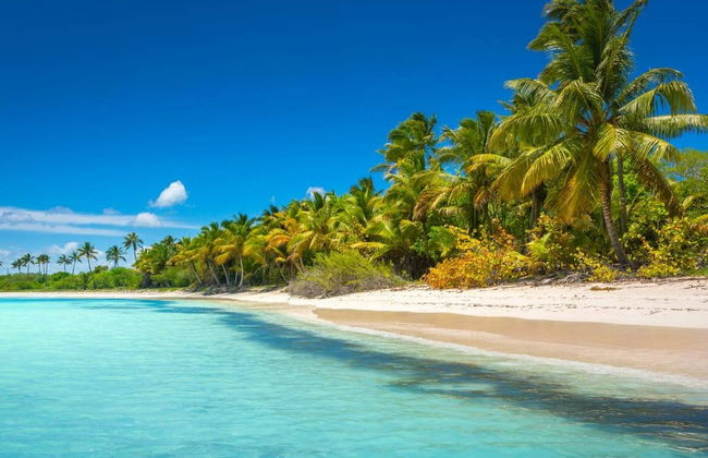 Escursione all'isola di Saona + Fiume Chavón - Foto 1