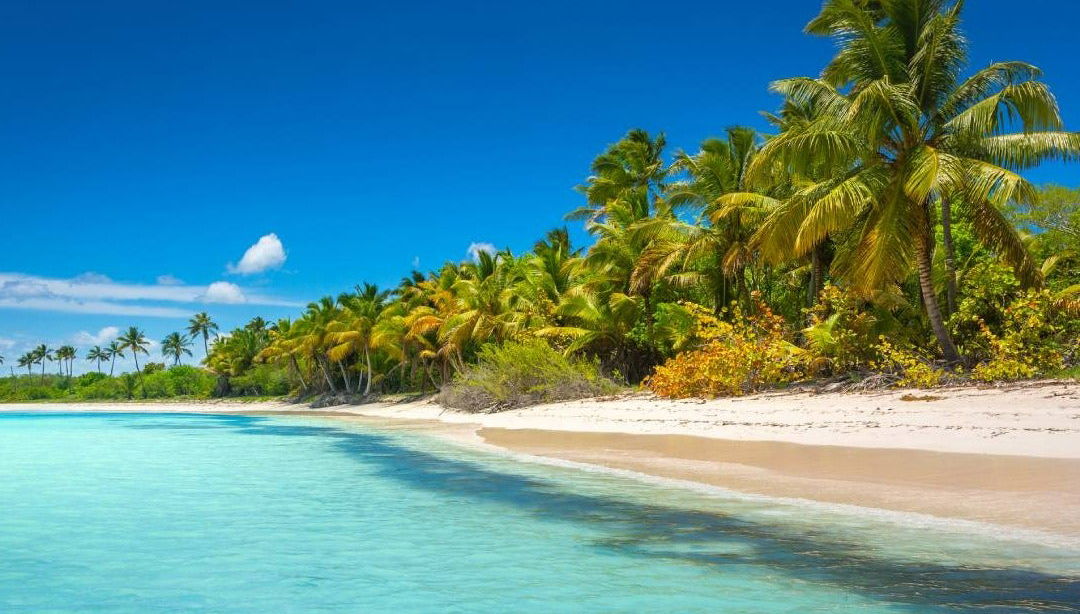 Excursión a la isla Saona + Río Chavón - Foto 1