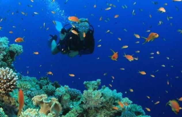 Escursione all'isola di Saona + Fiume Chavón - Foto 7