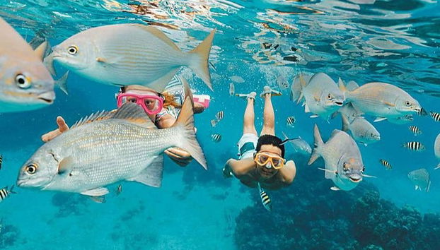 Excursión a la isla Saona + Río Chavón - Foto 5