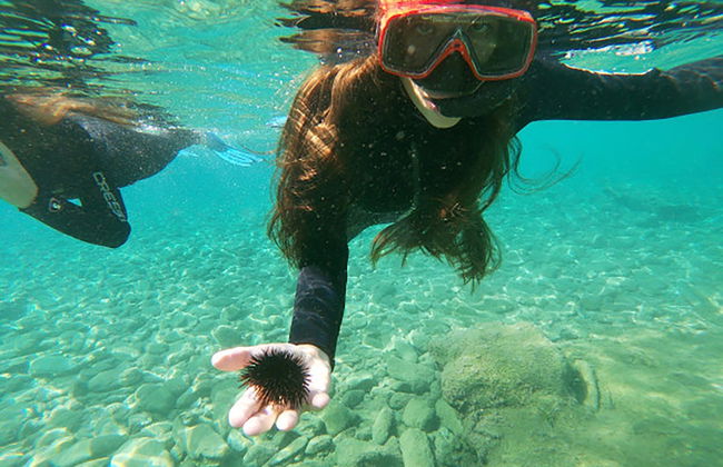 Snorkeling in Agia Pelagia - Photo 6