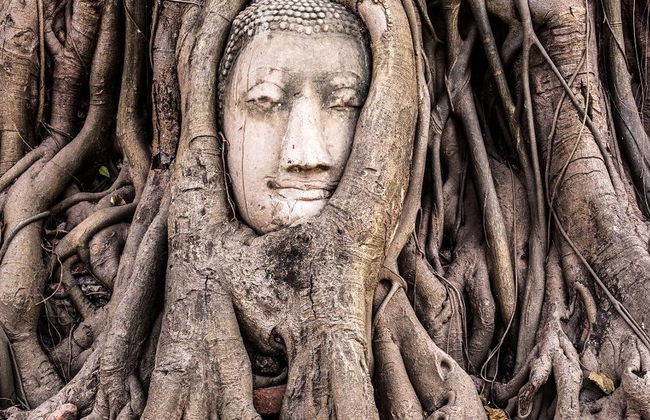 Explorador de Ayutthaya en Tuk Tuk - Tour Privado - Foto 4