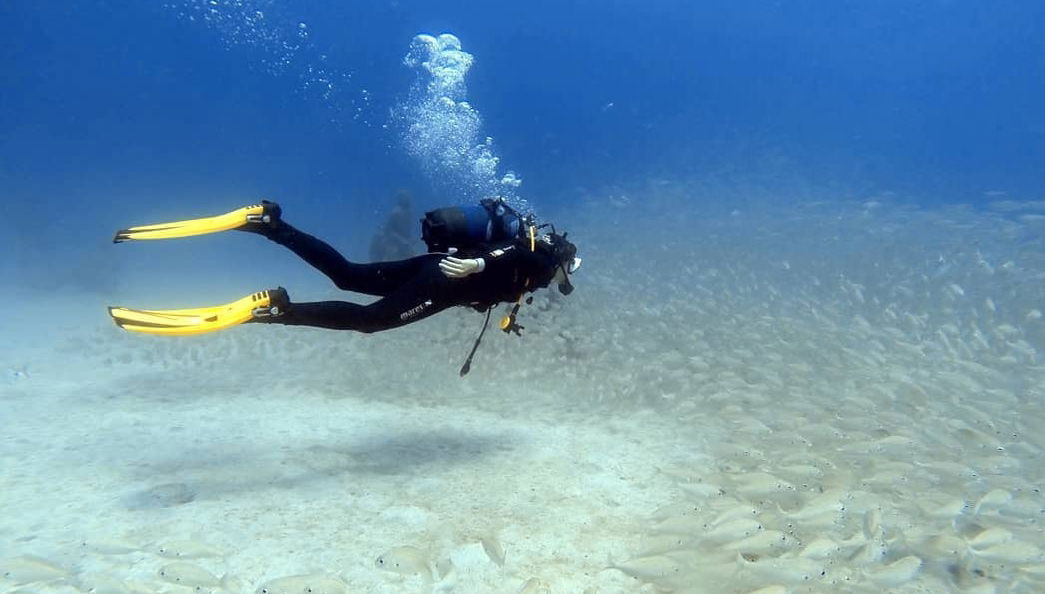 Bautismo de buceo en Playa Blanca - Foto 1