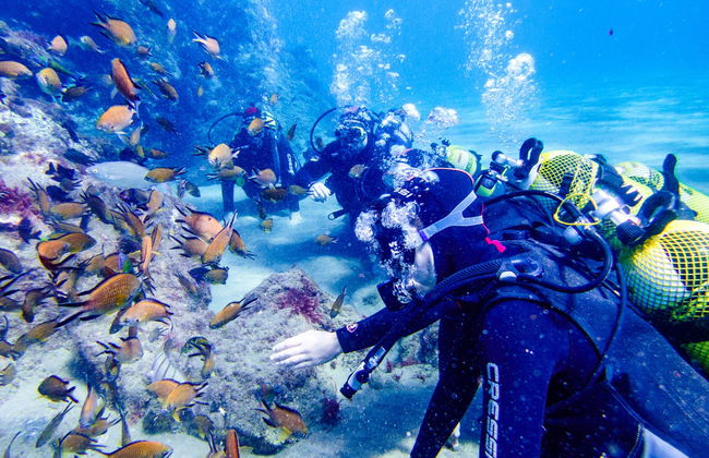 Batismo de mergulho em Playa Blanca - Foto 7