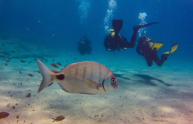 Batismo de mergulho em Playa Blanca - Foto 4