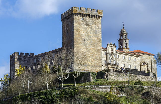 Tour por el Conjunto Monumental de San Vicente do Pino - Foto 1