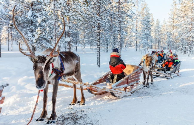 Ylläs Reindeer Sleigh Ride - Photo 4