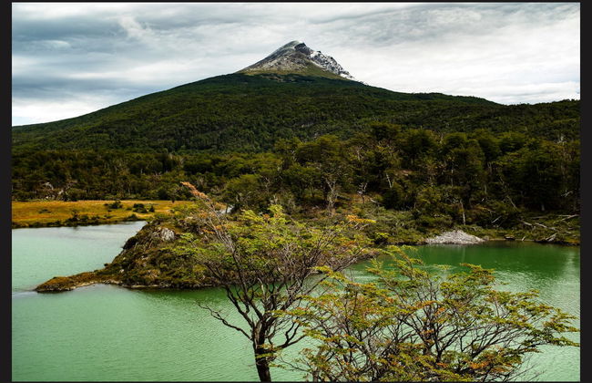 Excursión al Parque Nacional Tierra del Fuego + Tren del Fin del Mundo - Foto 2
