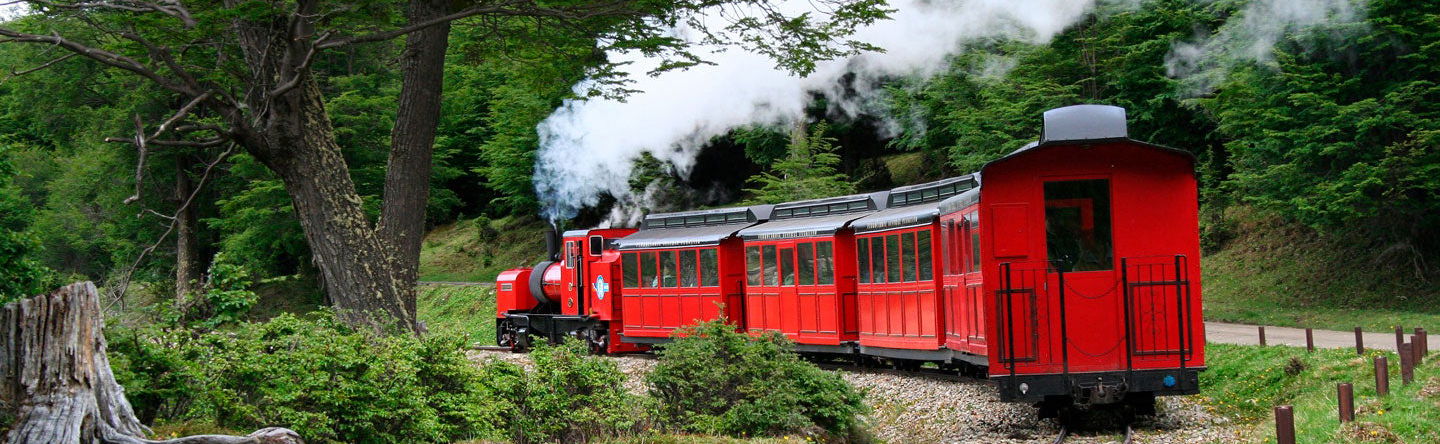 Escursione al Parco Nazionale Terra del Fuoco + Treno della Fine del Mondo - Foto 1