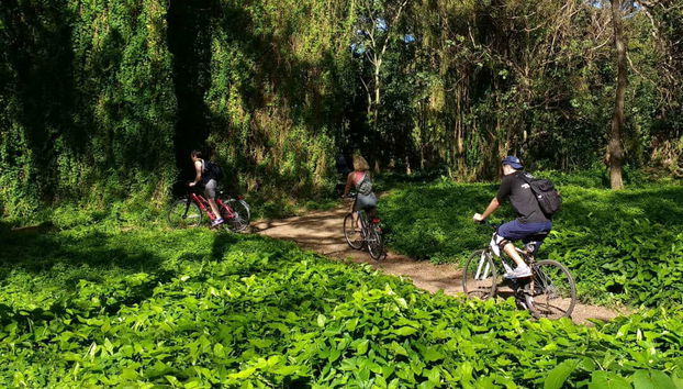 Havana Enchanted Forest Bike Tour - Foto 2