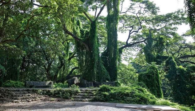 Havana Enchanted Forest Bike Tour - Foto 4