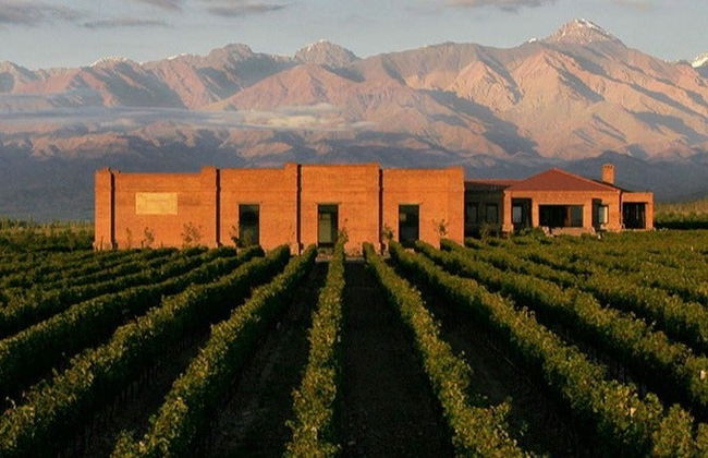 Uco Valley Wineries Private Tour - Foto 11