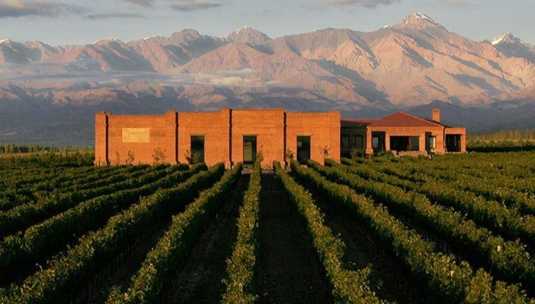 Visite privée des vignobles de la Vallée d'Uco