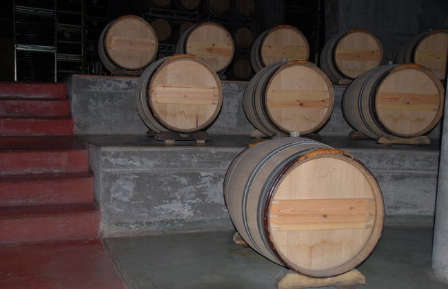 Uco Valley Wineries Private Tour - Foto 8
