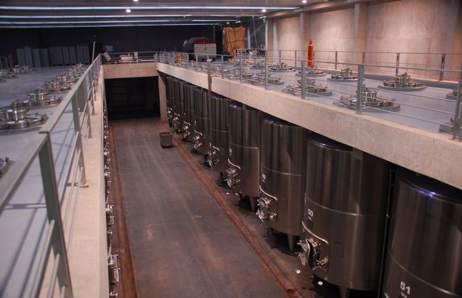 Uco Valley Wineries Private Tour - Foto 6