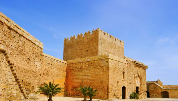 Alcazaba Guided Tour - Foto 2