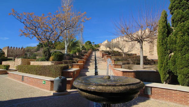 Alcazaba Guided Tour - Foto 3