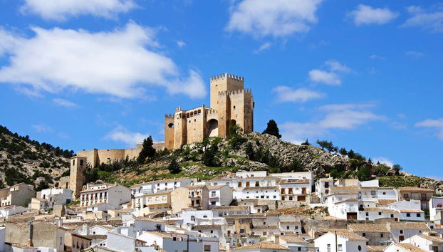 Alcazaba Guided Tour - Foto 4