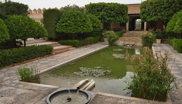 Alcazaba Guided Tour - Foto 5