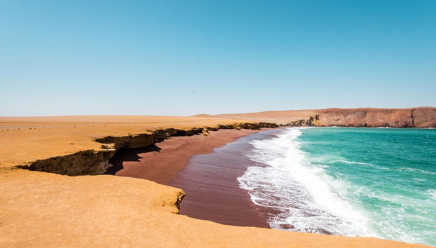 Tour en buggy por la Reserva Nacional de Paracas - Foto 5