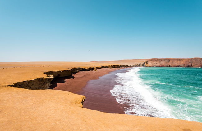 Tour della Riserva Nazionale di Paracas in buggy - Foto 5