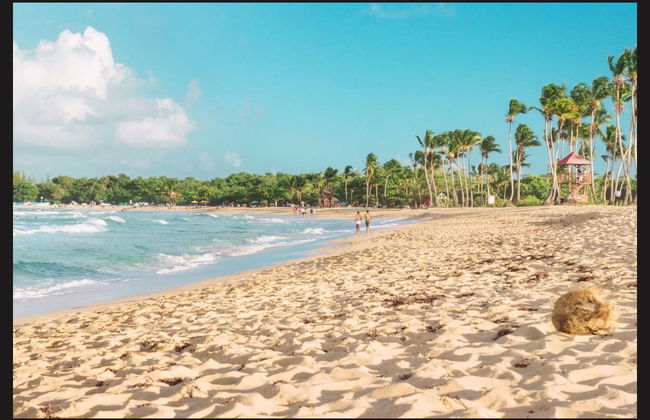 Higüey Day Trip - Foto 6