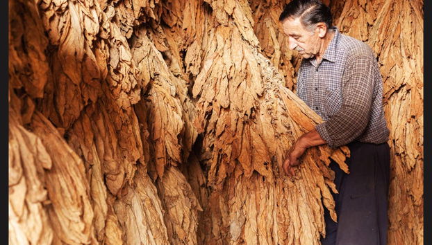 Excursión a Higüey - Foto 5