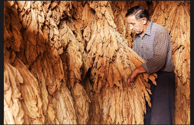 Higüey Day Trip - Foto 5