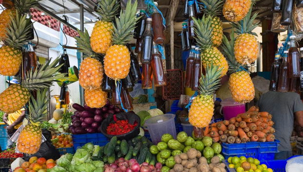 Excursión a Higüey - Foto 2