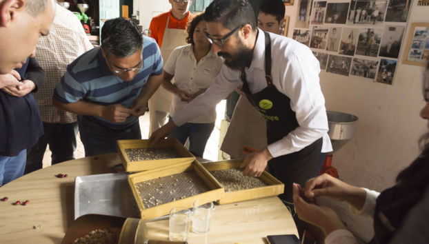 Coatepec Coffee Tour - Foto 3