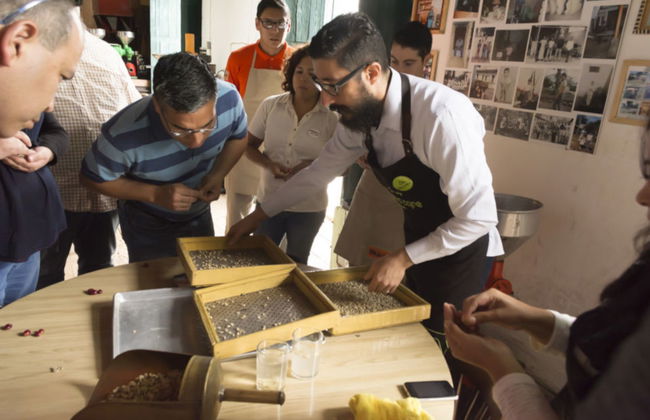 Coatepec Coffee Tour - Foto 3