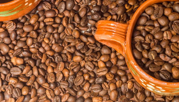 Coatepec Coffee Tour - Foto 4