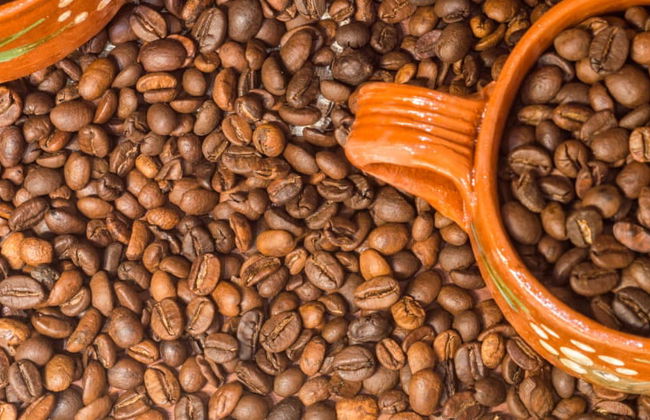 Coatepec Coffee Tour - Foto 4