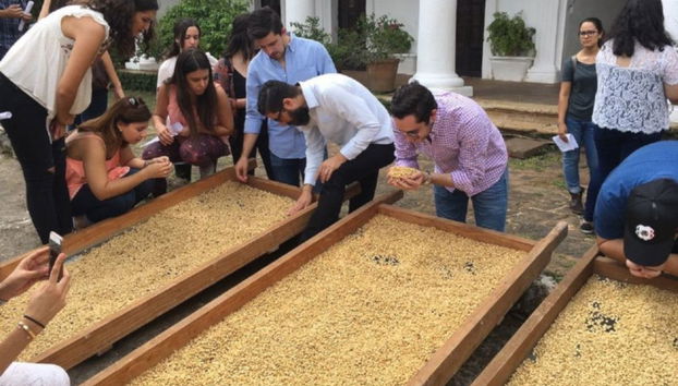 Coffee Tour of Coatepec - Foto 3