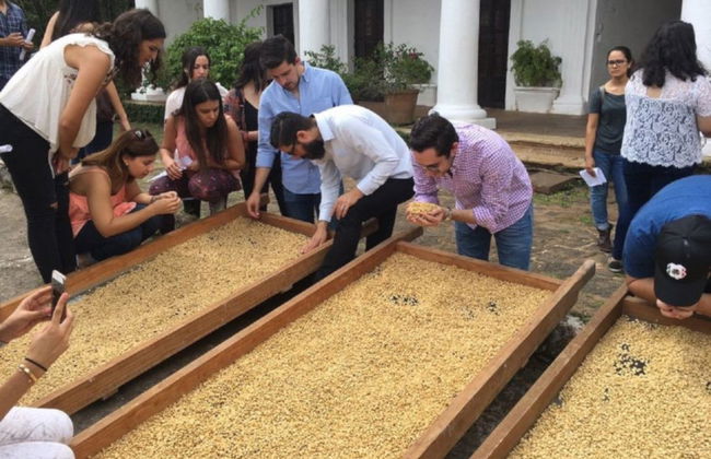 Coffee Tour of Coatepec - Foto 3