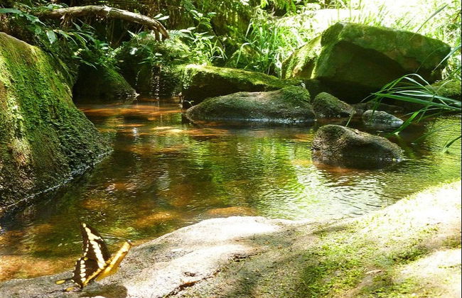 Excursión al Parque Nacional Ybycui + Museo La Rosada - Foto 2
