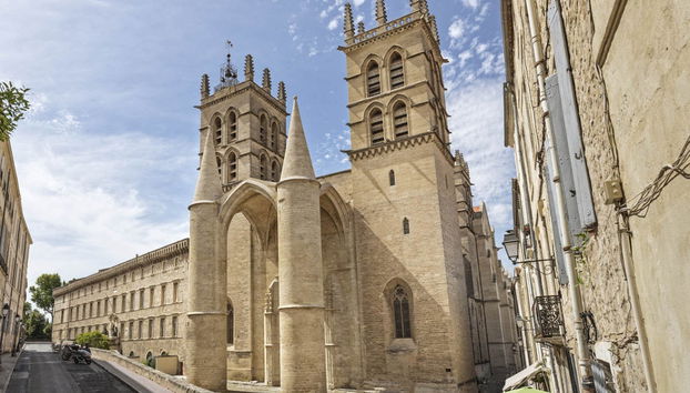 Montpellier City Card - Foto 5