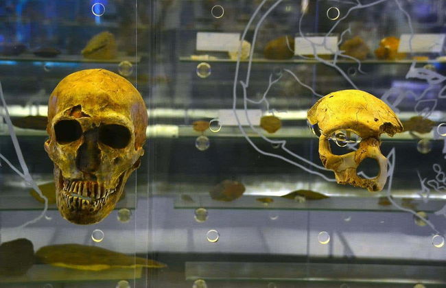 Excursion aux grottes de Sterkfontein - Photo 1