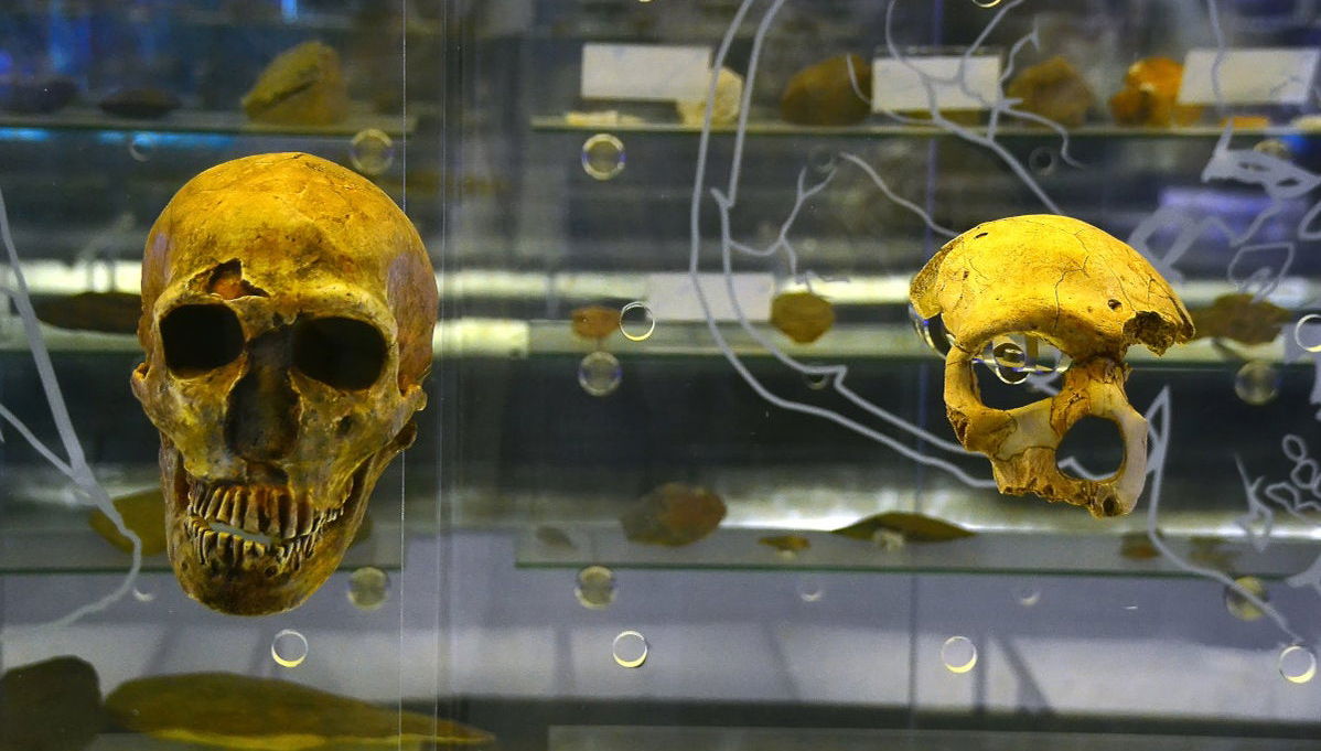 Sterkfontein Caves Tour - Photo 1