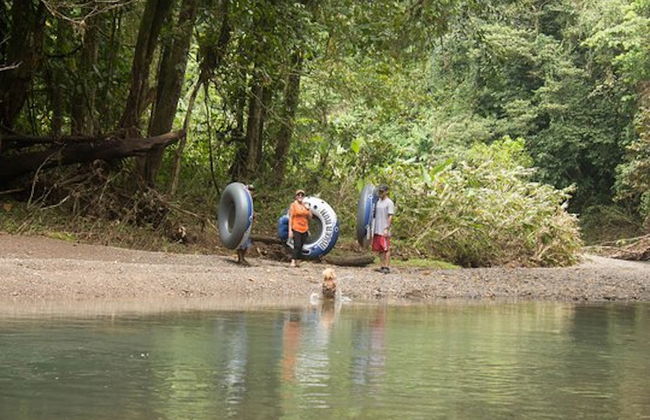 Excursión de 1 o 2 días a la finca Río Agujitas - Foto 2