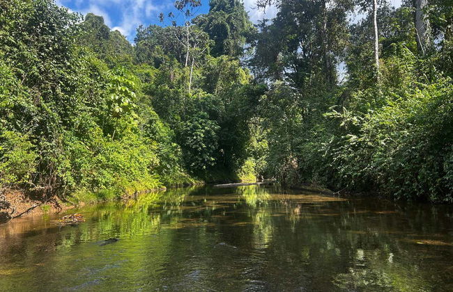 Excursión de 1 o 2 días a la finca Río Agujitas - Foto 6