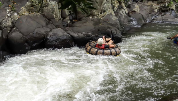 1 or 2-Day Tour of Río Agujitas Farm - Foto 3