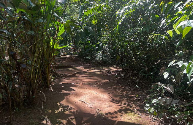 Excursión de 1 o 2 días a la finca Río Agujitas - Foto 4
